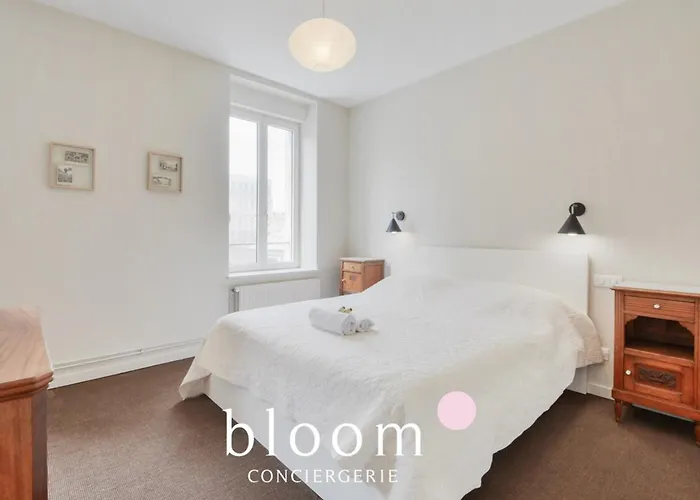 Le Somptueux De Blandan Apartment *