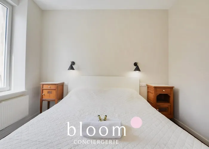 Le Somptueux De Blandan